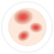 2025年澳门原料网