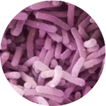 2025年澳门原料网