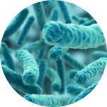 2025年澳门原料网