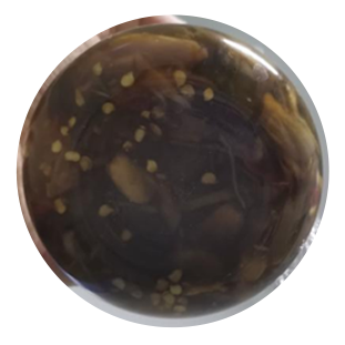 2025年澳门原料网