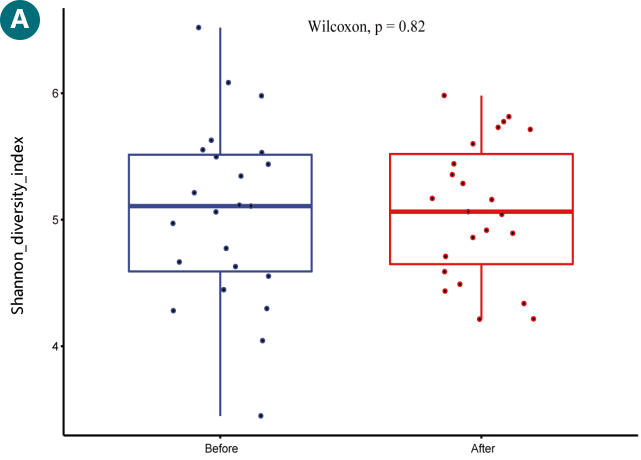 2025年澳门原料网