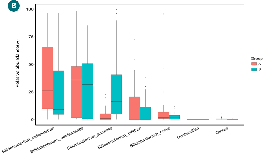 2025年澳门原料网