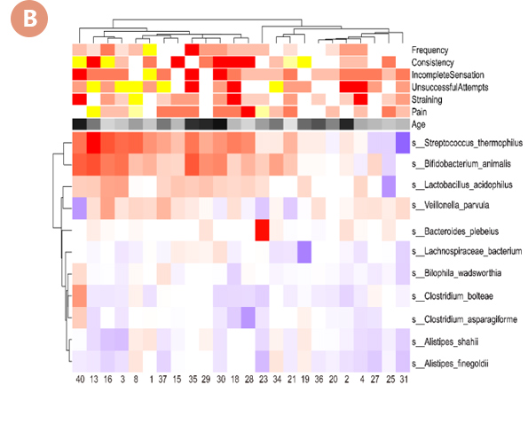 对便秘人群肠道菌群结构的影响(图3)