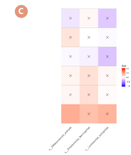 对便秘人群肠道菌群结构的影响(图4)