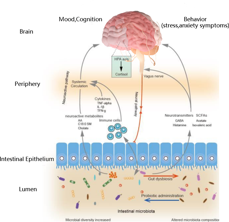 后生元舒缓压力及焦虑(图3)