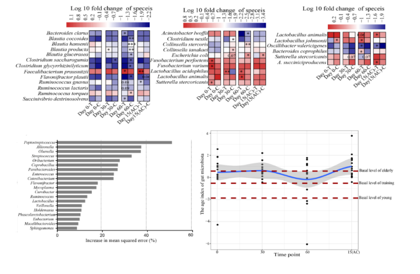 后生元Probio-A6调节动物的肠道菌群(图2)