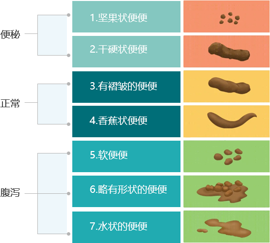 Health-P6后生元缓解便秘症状(图5)