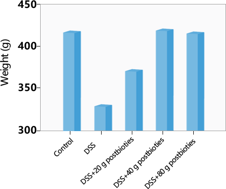 2025年澳门原料网