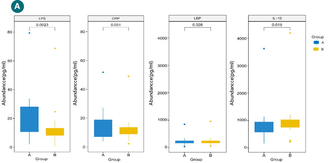 2025年澳门原料网