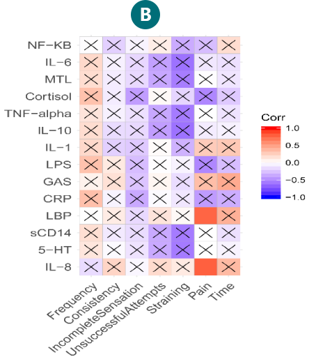 2025年澳门原料网