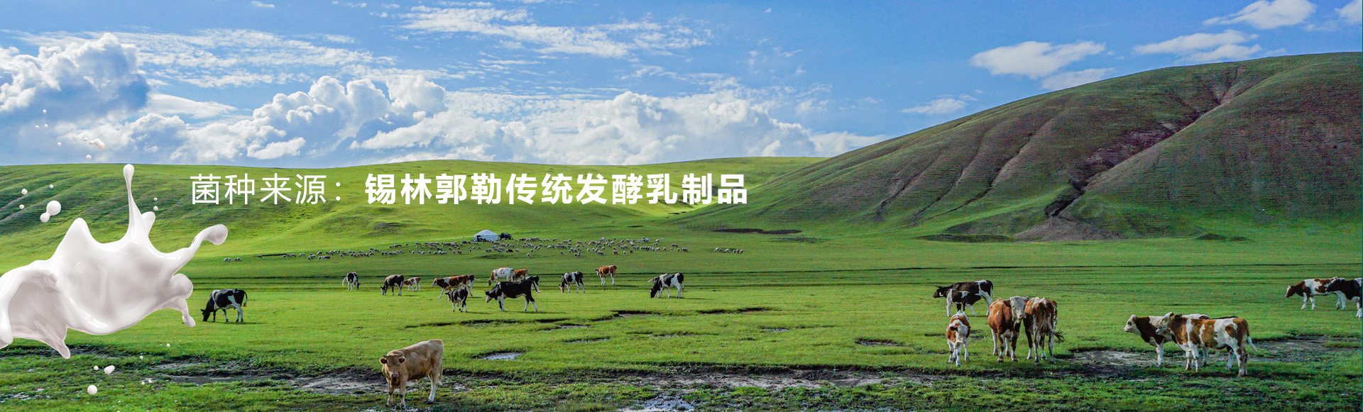 2025年澳门原料网