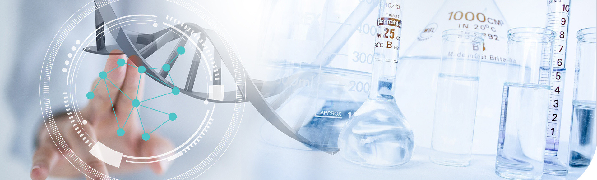 2025年澳门原料网