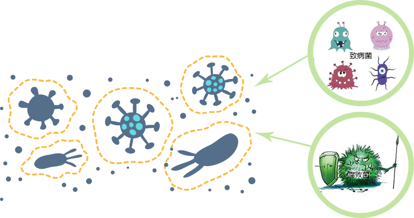 2025年澳门原料网