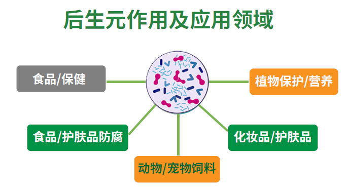 后生元的功能及产业化应用