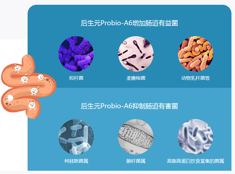 构建宠物食品大健康时代  后生元“后生可为”