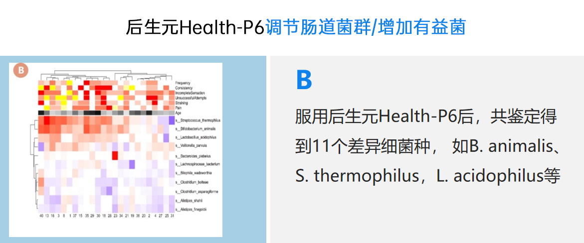 “绿色抗炎”新原料|后生元Health-P6维护消化道健康