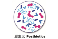 后生元——撬动大健康产业的一个有力杠杆