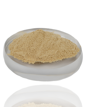 功能性后生元PostbioP