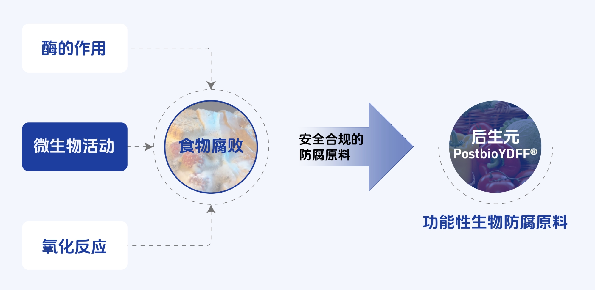 第二届预制菜产业科技创新大会举行，预制菜亟需绿色安全防腐