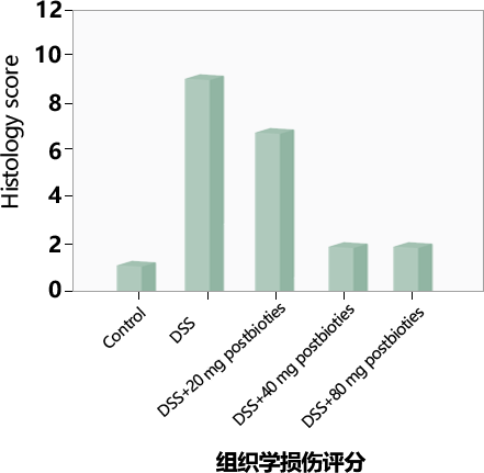 对机体结肠组织的影响(图2)