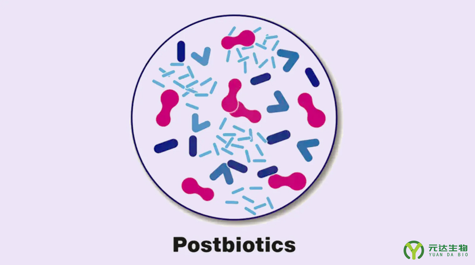 后生元的功能及产业化应用(图1)