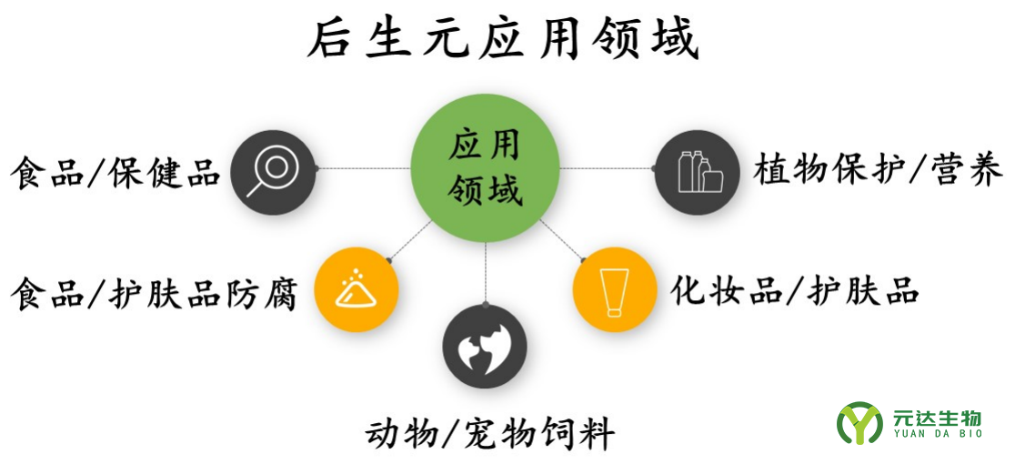 深度解读益生菌与后生元的奥秘(图6)