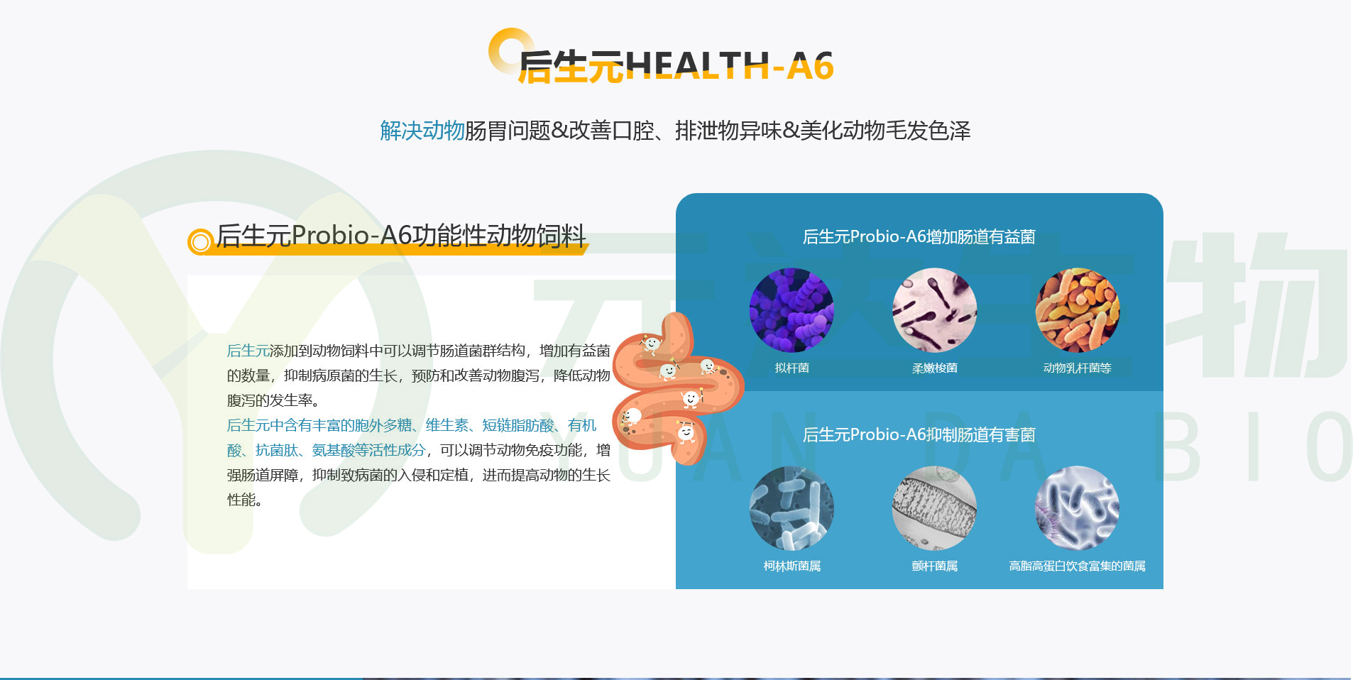 详解后生元的作用机制(图3)