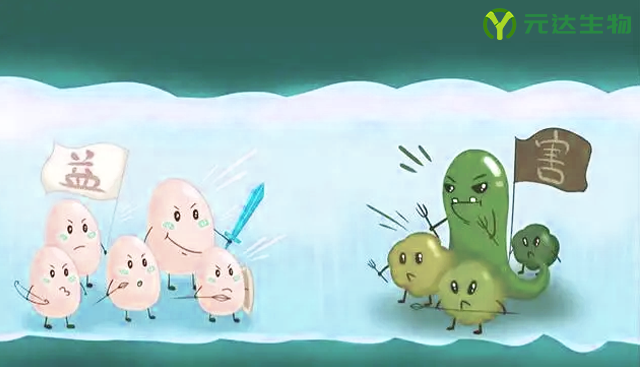 后生元制剂在肠道健康方面的应用(图1)