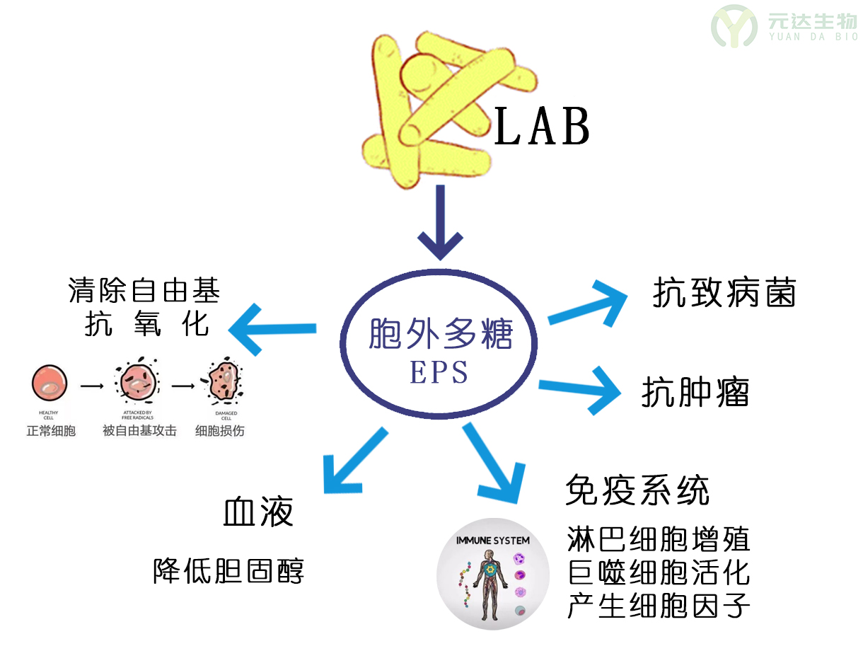 揭开助力大健康产业的神秘面纱-后生元(图4)