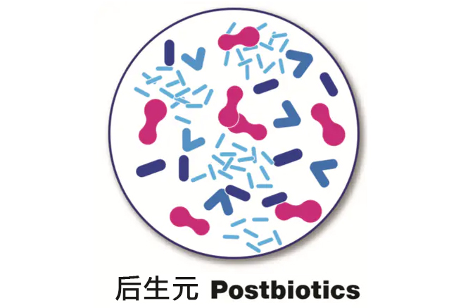 科普-后生元的“出生”(图1)