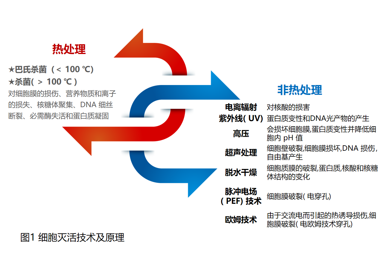 科普-后生元的“出生”(图3)