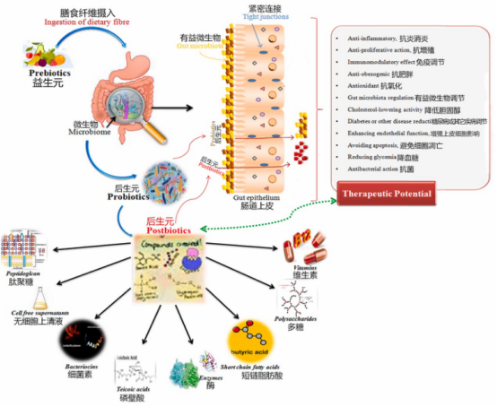 健康新势力！后生元如何助力大健康产业高质量发展