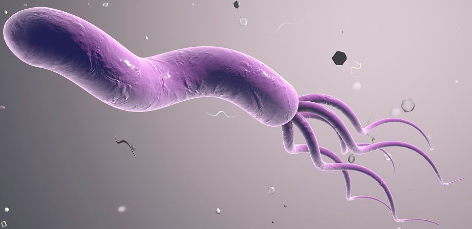 稳了，幽门螺杆菌稳了!